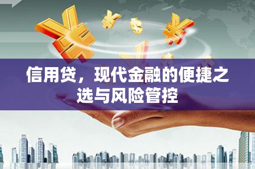 中宁信用贷，现代金融的便捷之选与风险管控