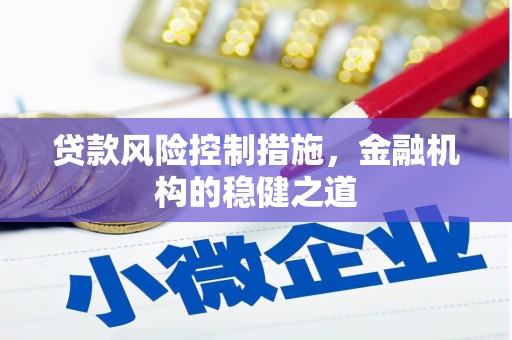 中宁贷款风险控制措施，金融机构的稳健之道
