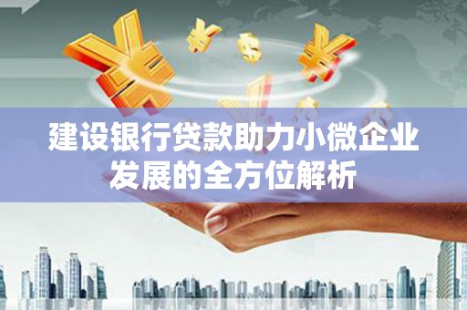 中宁建设银行贷款助力小微企业发展的全方位解析