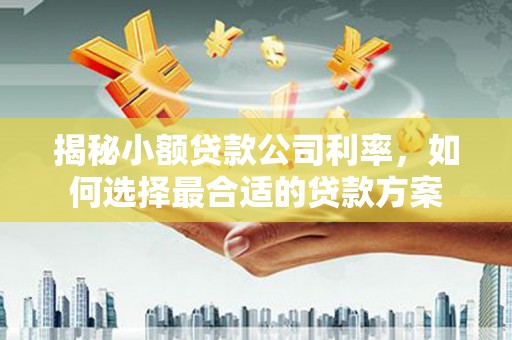 中宁揭秘小额贷款公司利率，如何选择最合适的贷款方案