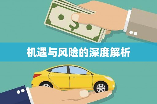 中宁机遇与风险的深度解析