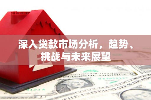 中宁深入贷款市场分析，趋势、挑战与未来展望