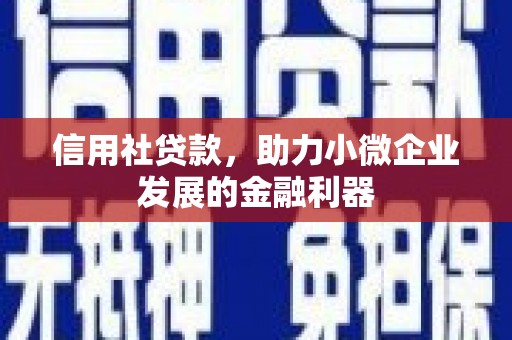 中宁信用社贷款，助力小微企业发展的金融利器