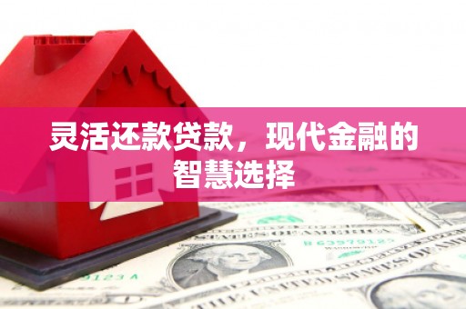中宁灵活还款贷款，现代金融的智慧选择