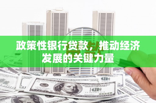 中宁政策性银行贷款，推动经济发展的关键力量