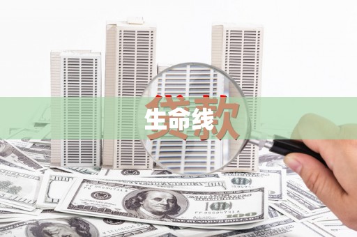 中宁生命线