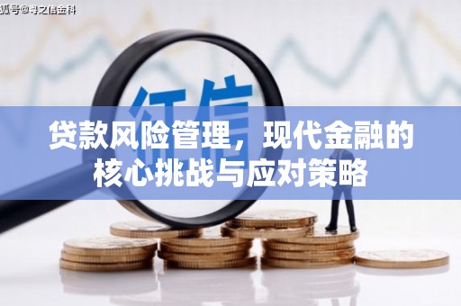 中宁贷款风险管理，现代金融的核心挑战与应对策略