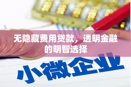 中宁无隐藏费用贷款，透明金融的明智选择