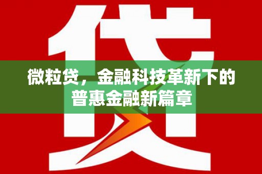 中宁微粒贷，金融科技革新下的普惠金融新篇章