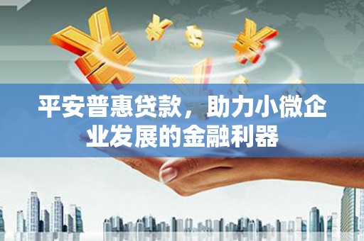 中宁平安普惠贷款，助力小微企业发展的金融利器