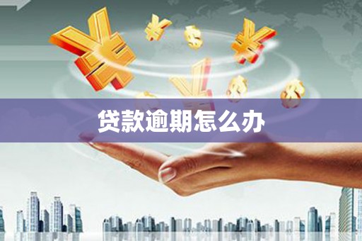 中宁贷款逾期怎么办
