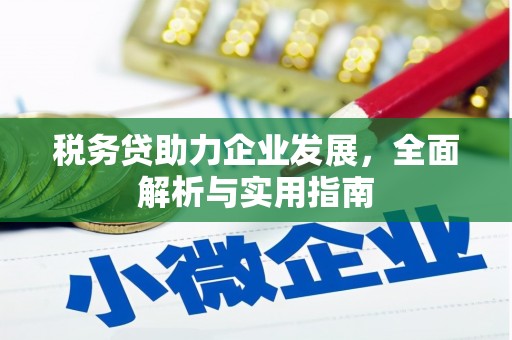 中宁税务贷助力企业发展，全面解析与实用指南