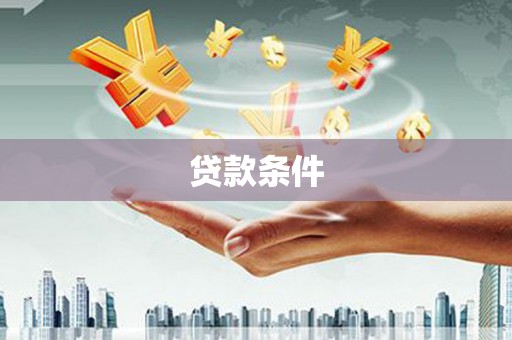 中宁贷款条件