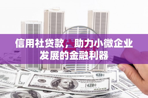 中宁信用社贷款，助力小微企业发展的金融利器