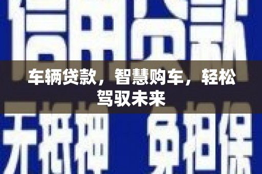 中宁车辆贷款，智慧购车，轻松驾驭未来