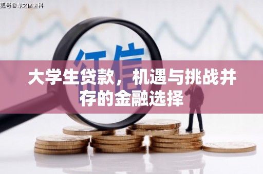 中宁大学生贷款，机遇与挑战并存的金融选择