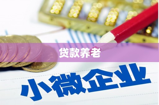 中宁贷款养老