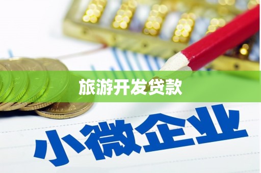 中宁旅游开发贷款