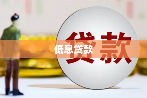 中宁低息贷款