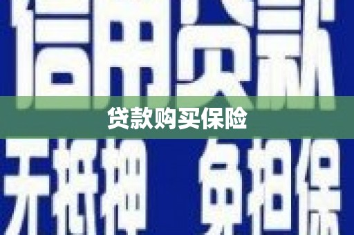 中宁贷款购买保险