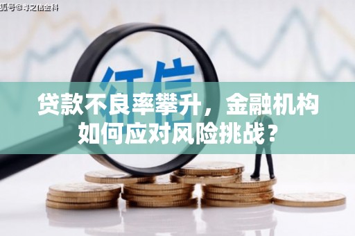 中宁贷款不良率攀升，金融机构如何应对风险挑战？