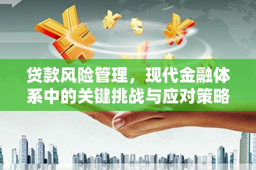 中宁贷款风险管理，现代金融体系中的关键挑战与应对策略