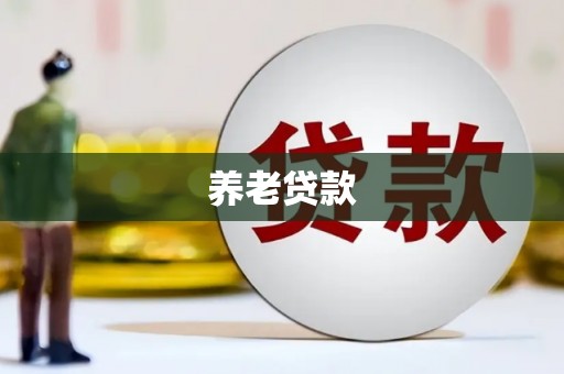 中宁养老贷款
