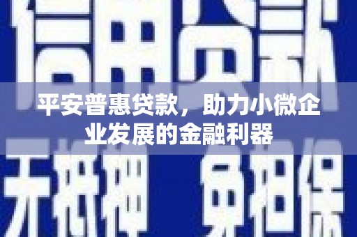 中宁平安普惠贷款，助力小微企业发展的金融利器
