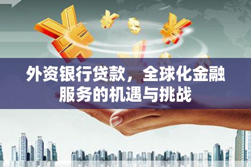 中宁外资银行贷款，全球化金融服务的机遇与挑战