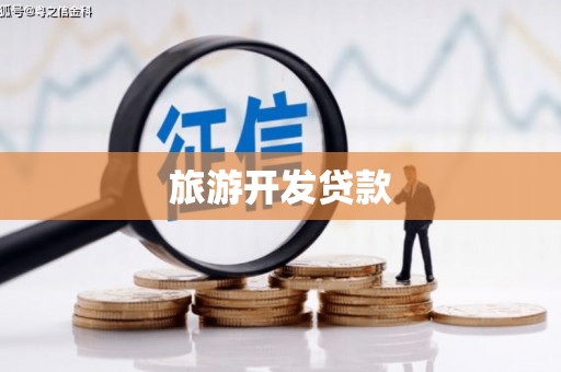 中宁旅游开发贷款