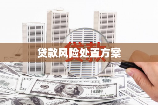 中宁贷款风险处置方案