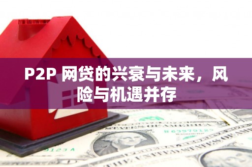 中宁P2P 网贷的兴衰与未来，风险与机遇并存