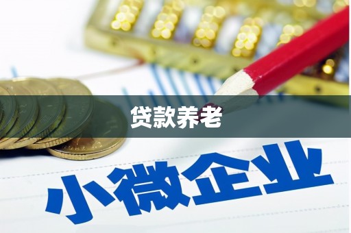 中宁贷款养老