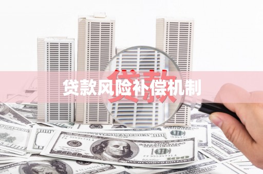 中宁贷款风险补偿机制