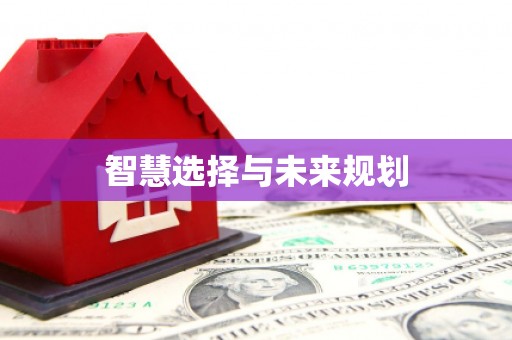中宁智慧选择与未来规划