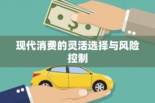 中宁现代消费的灵活选择与风险控制