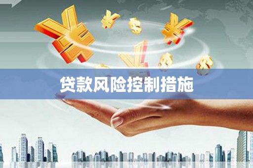 中宁贷款风险控制措施