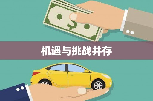 中宁机遇与挑战并存