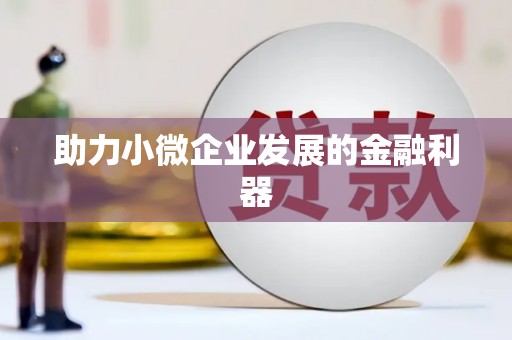 中宁助力小微企业发展的金融利器