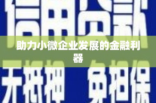 中宁助力小微企业发展的金融利器