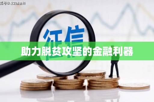 中宁助力脱贫攻坚的金融利器