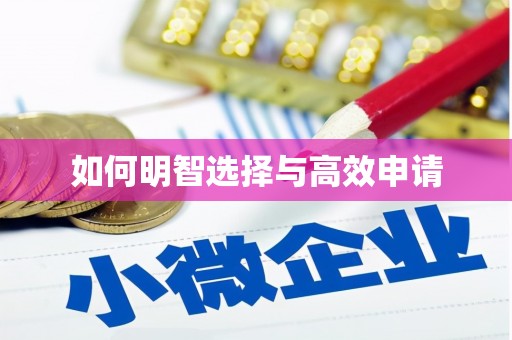 中宁如何明智选择与高效申请