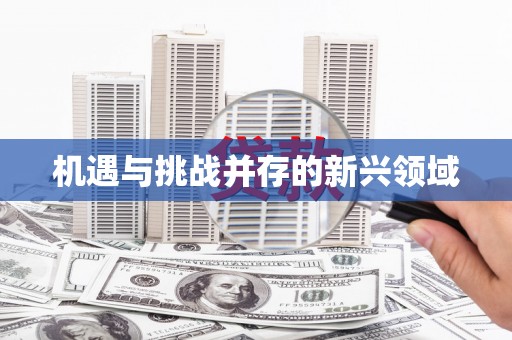 中宁机遇与挑战并存的新兴领域