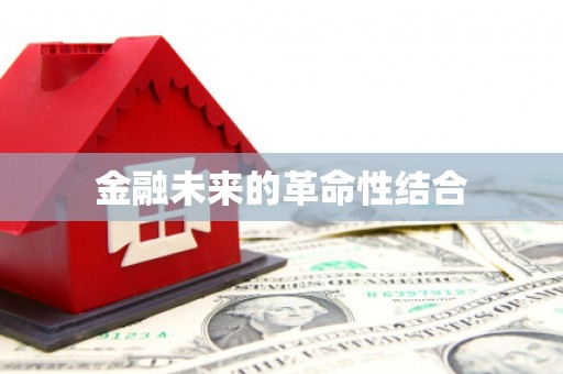 中宁金融未来的革命性结合