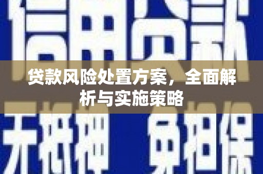 中宁贷款风险处置方案，全面解析与实施策略