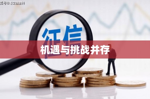 中宁机遇与挑战并存