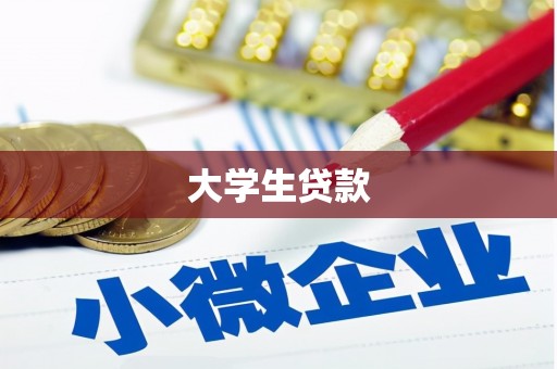 中宁大学生贷款