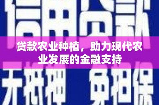 中宁贷款农业种植，助力现代农业发展的金融支持