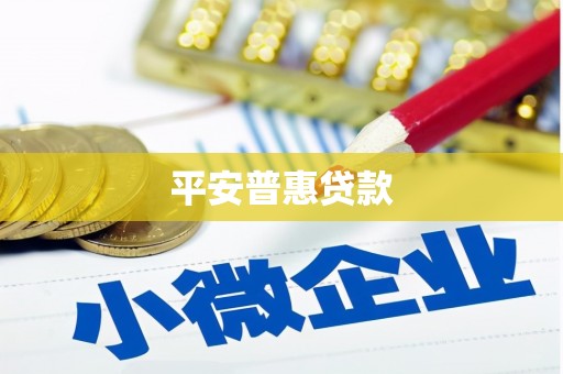 中宁平安普惠贷款